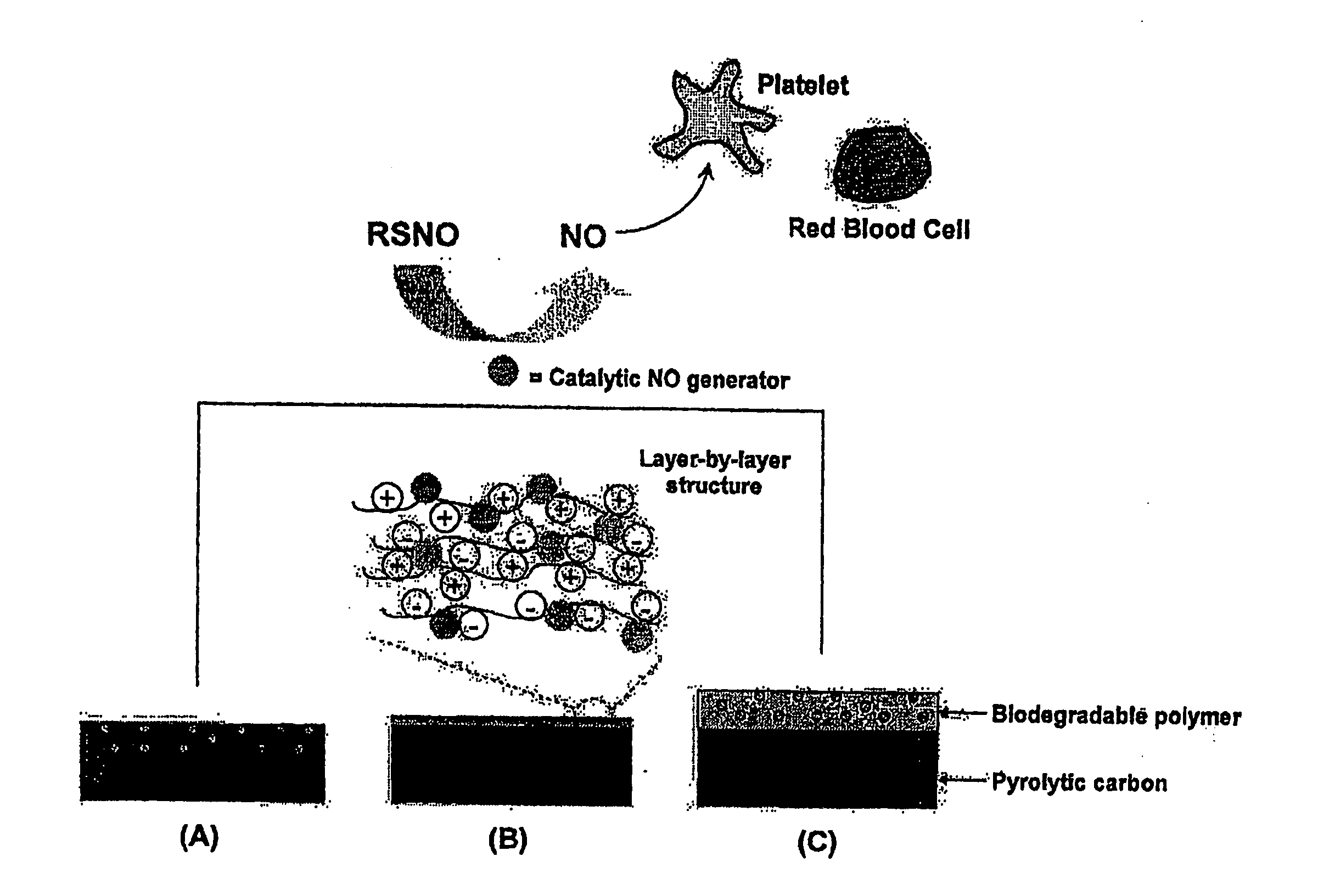 Enhancing biocompatibility of a medical device