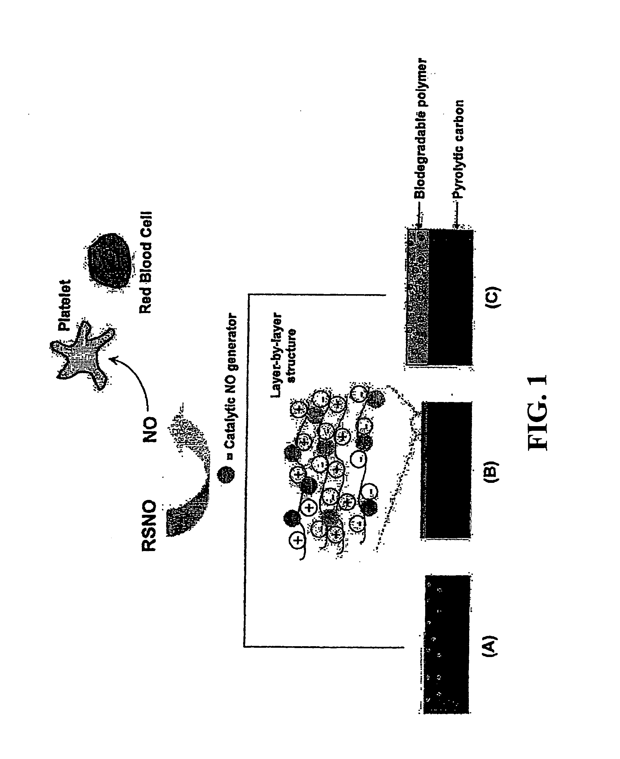 Enhancing biocompatibility of a medical device