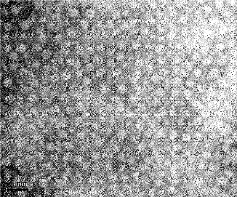 Novel macromolecule liposome and preparation method thereof