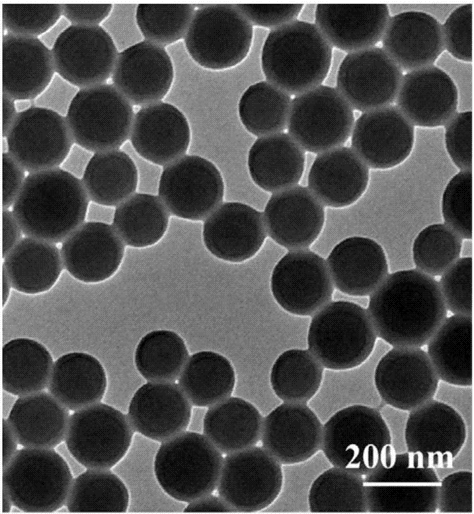 Polymer nanosphere with function of target recognition of cancer cells and preparation method of polymer nanosphere