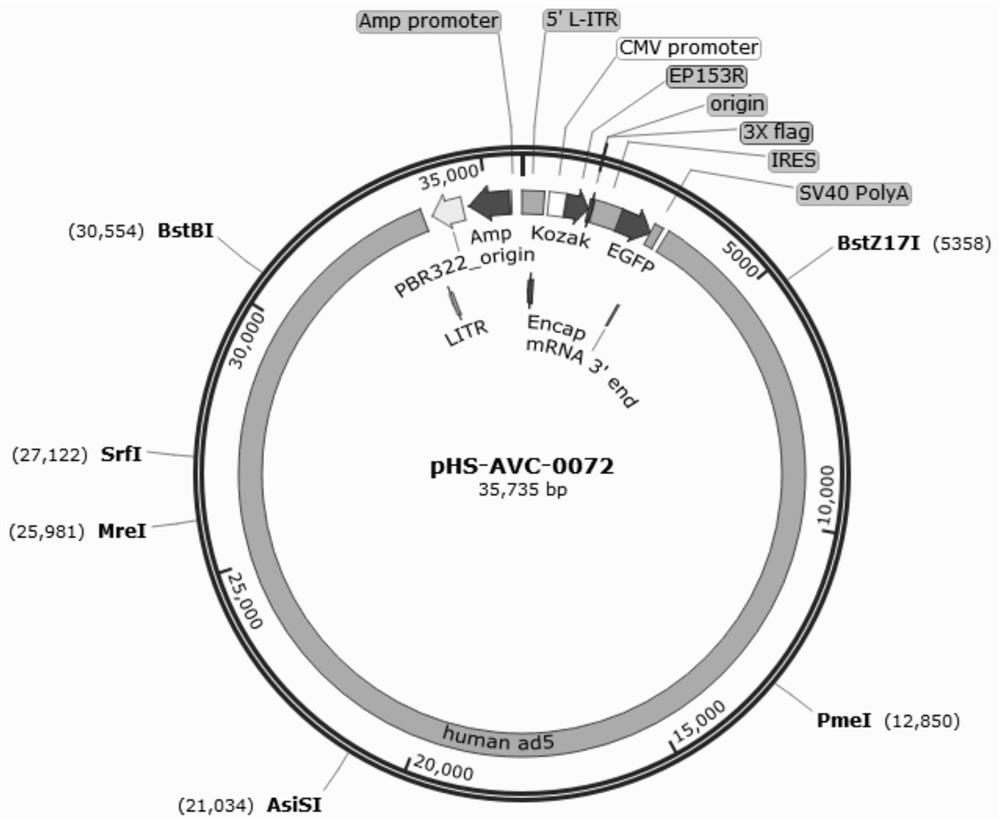 Recombinant adenovirus for expressing African swine fever virus EP153R protein and construction method thereof