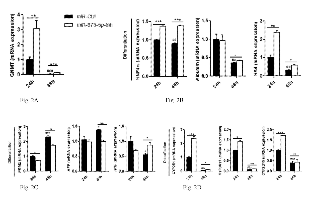 Methods and compositions to treat liver diseases and conditions