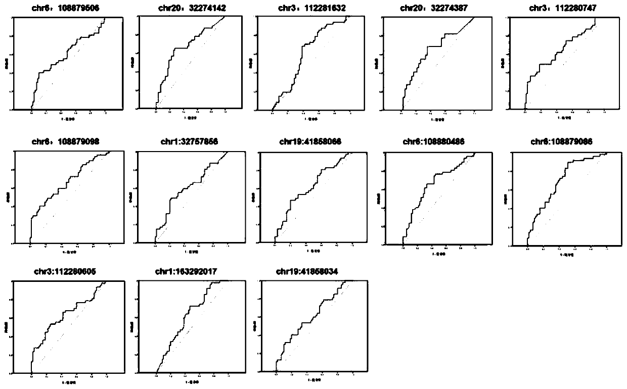 COPD early diagnosis marker and application thereof