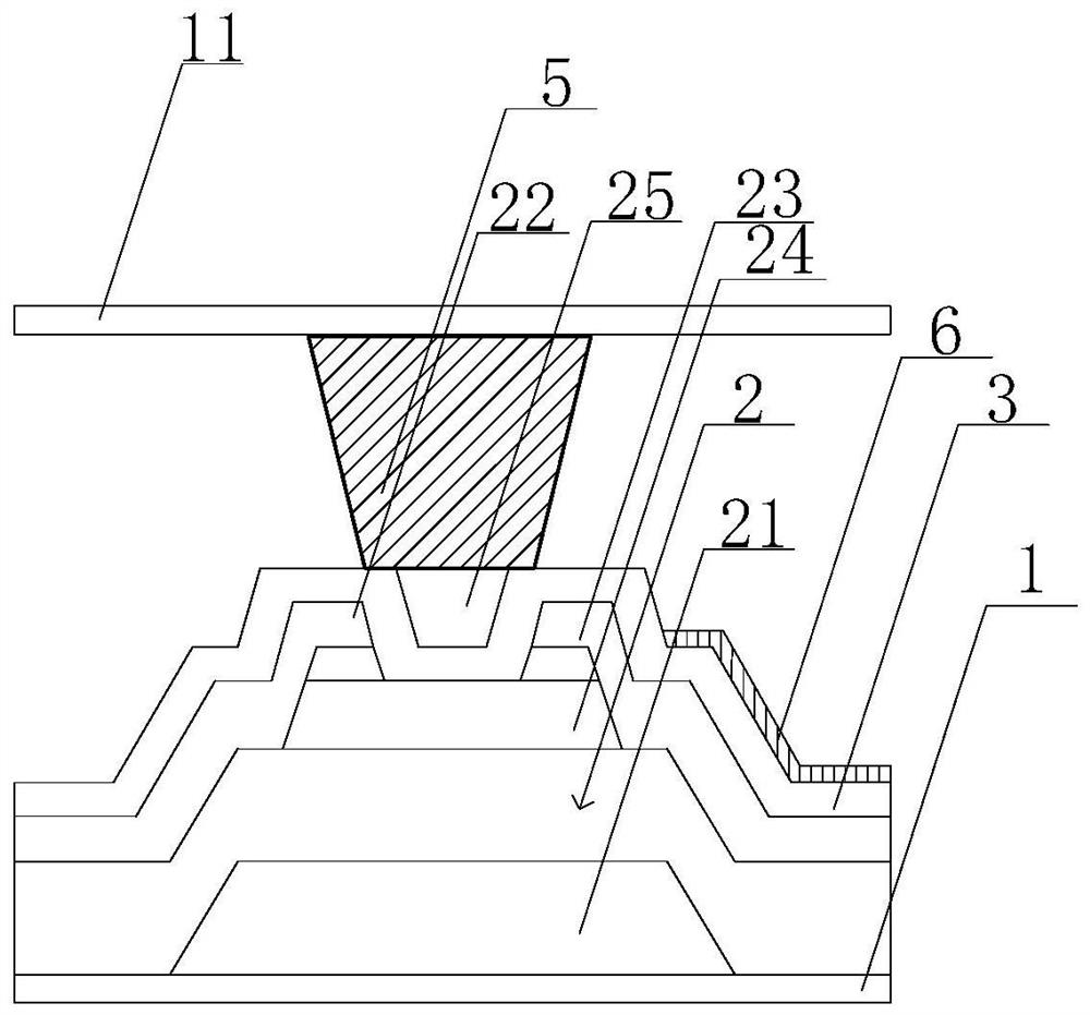 Display device, display panel and manufacturing method thereof