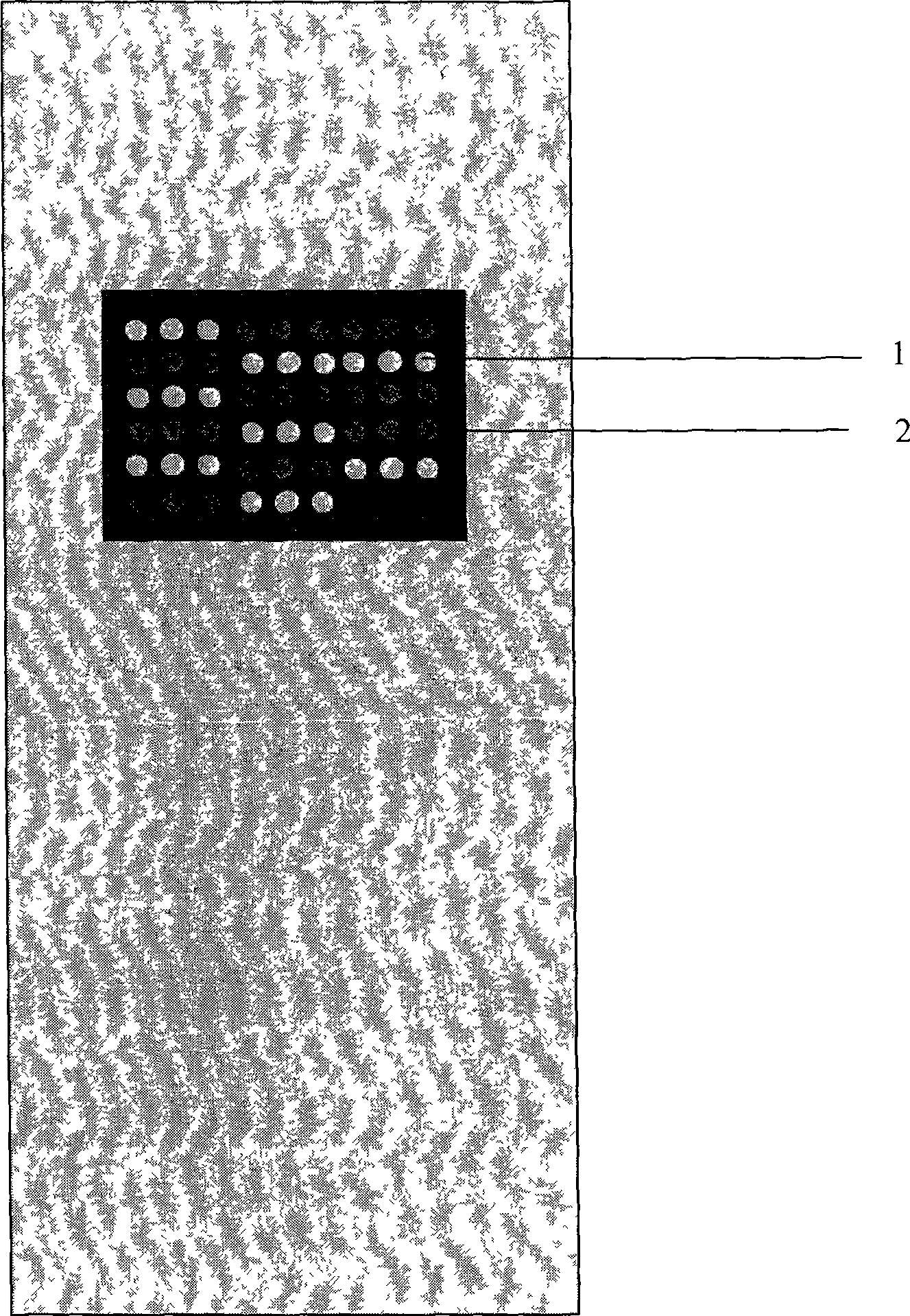 Biological chip aldehyde glass carrier