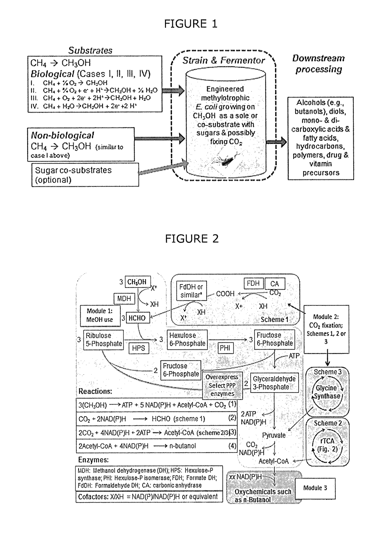 Synthetic methylotrophy to liquid fuels and chemicals