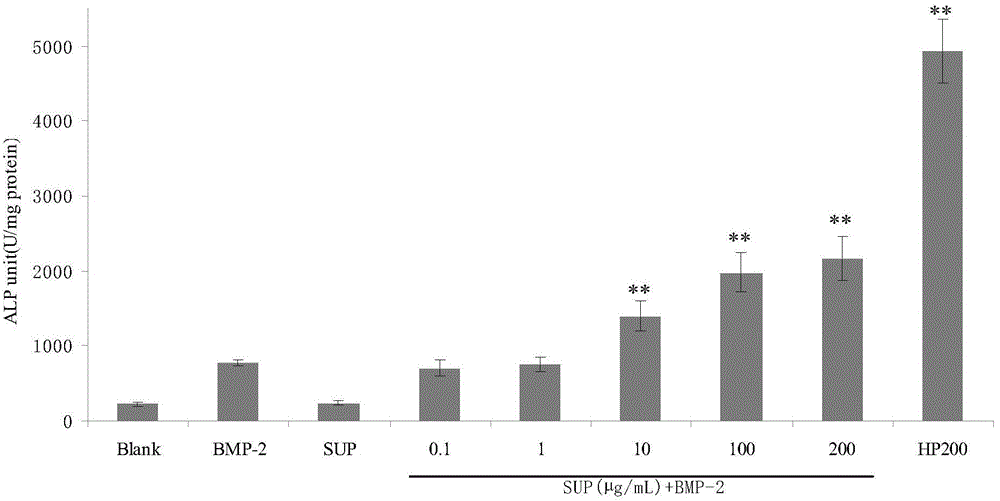 Application of non-sulfated polysaccharide to preparation of guided bone regeneration drug