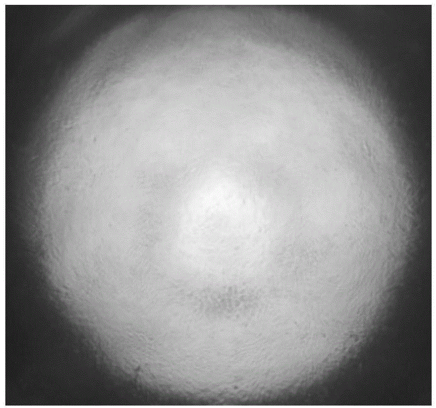 Application of non-sulfated polysaccharide to preparation of guided bone regeneration drug