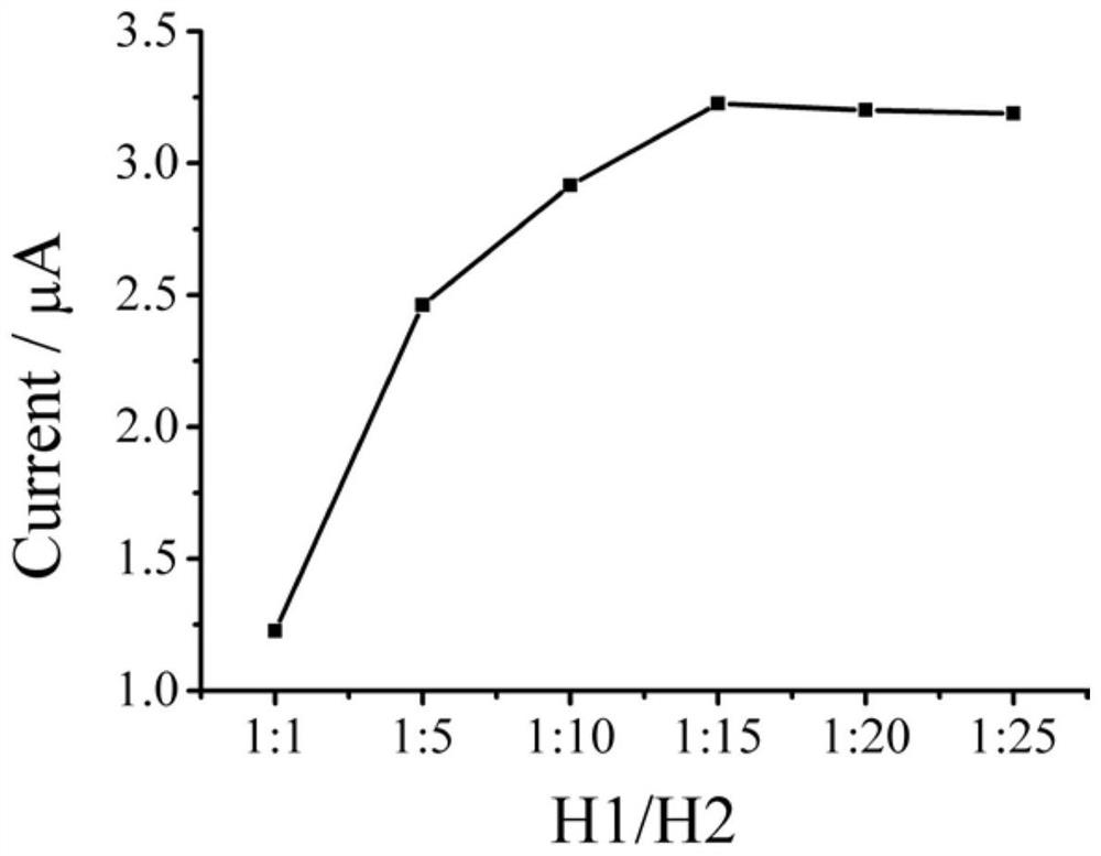 An electrochemical aptamer sensor for ampicillin detection