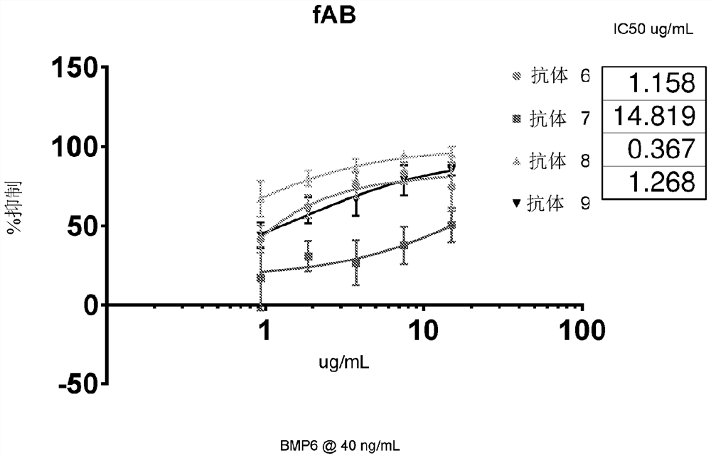 Alk2 antibodies and methods of use thereof