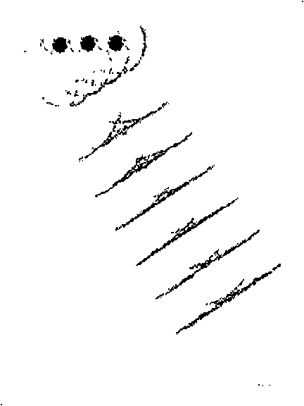 Single-seismic source directional lighting seismic signal synthesizing method