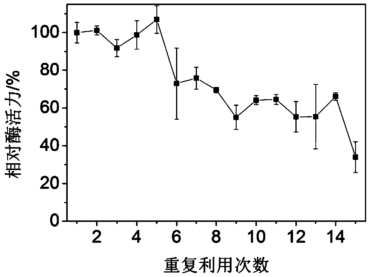 Immobilized enzymatic-conversion large-flowered skullcap root and application thereof to acetaminophen damage repairing