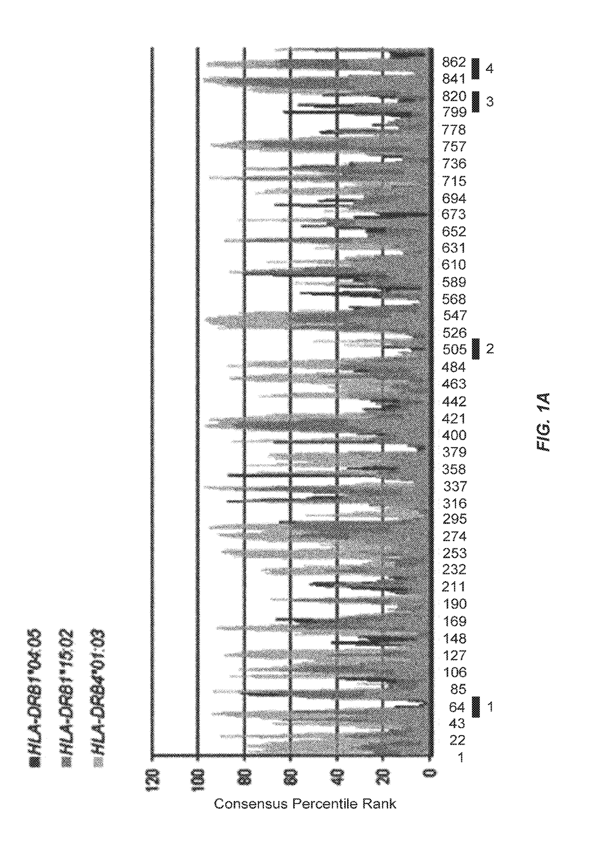 KIF20A Epitope Peptides for TH1 Cells and Vaccines Containing the Same