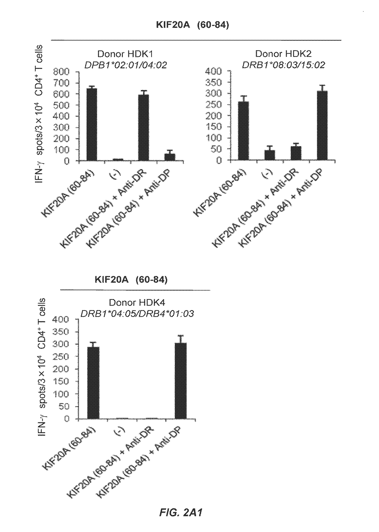 KIF20A Epitope Peptides for TH1 Cells and Vaccines Containing the Same