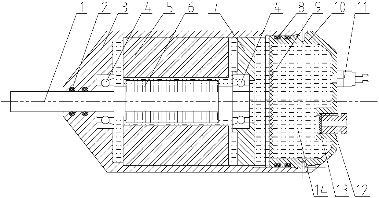 Underwater motor bearing complex load