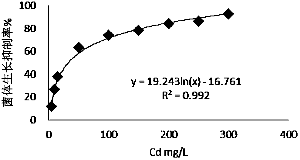 Application of trichoderma reesei and sedum plumbizincicola in remediation of cadmium-polluted farmland soil