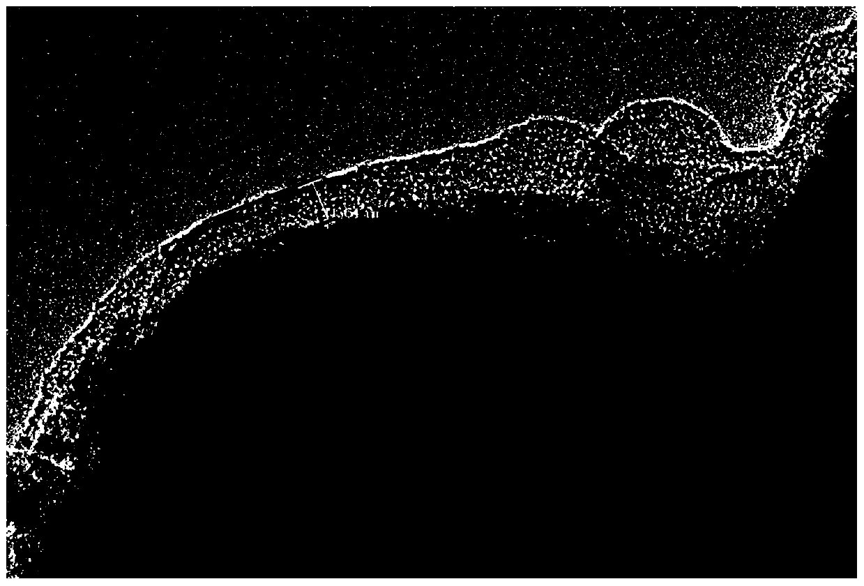 Powder pre-lithiated silicon-based negative electrode material, preparation method and application thereof