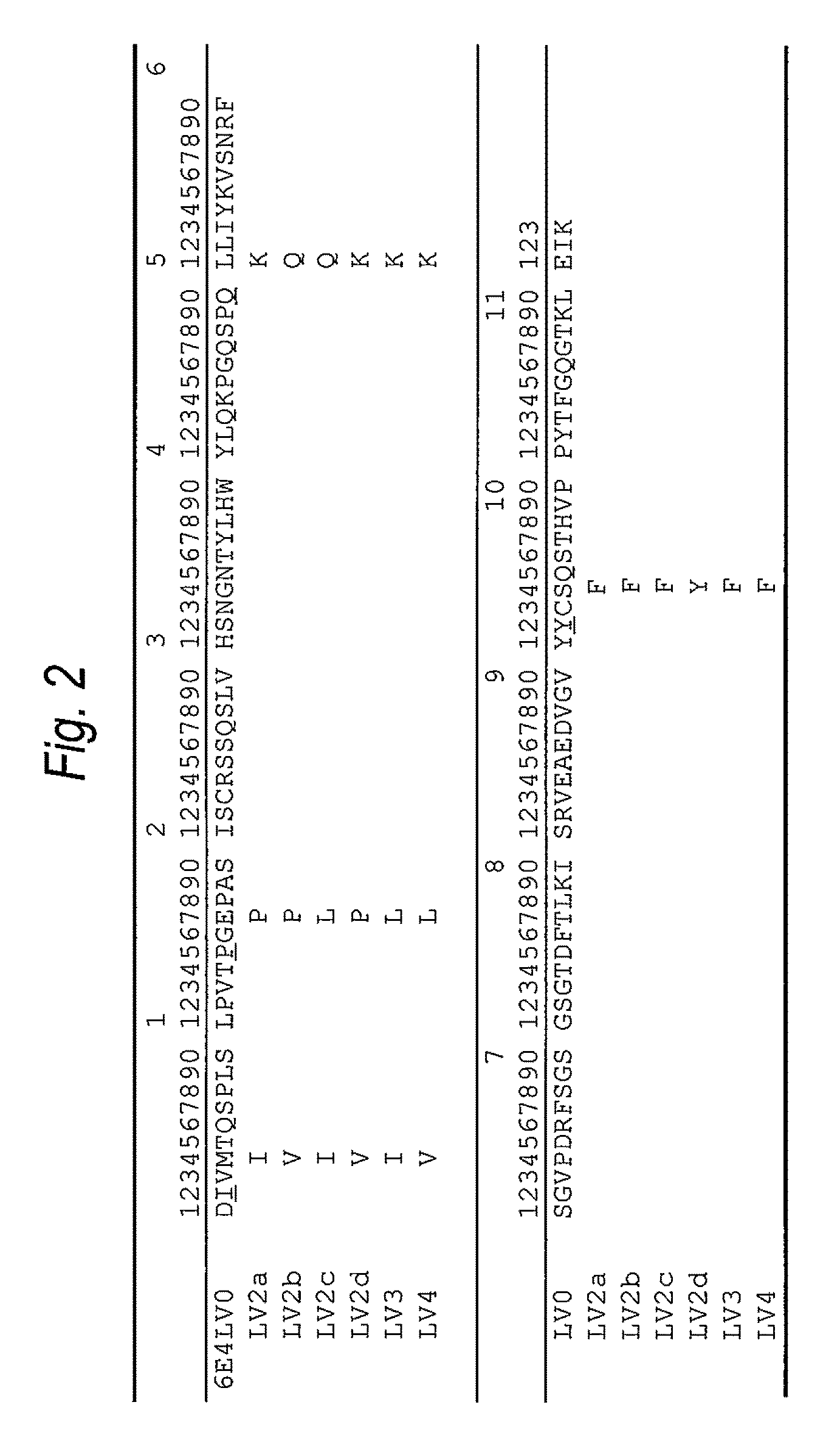 Anti-Aβ oligomer humanized antibody