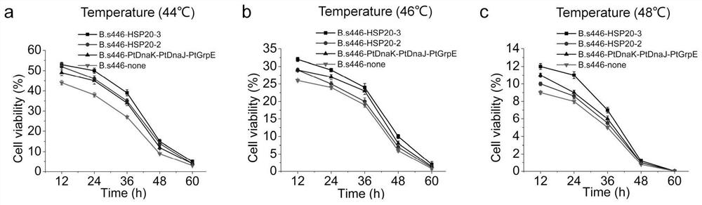 Application of Heat Shock Protein Gene from Thermophilic Bacteria