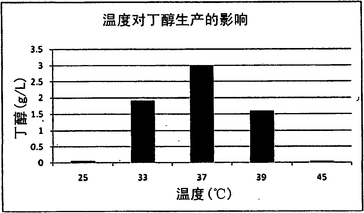 Process for production and quantitation of high yield of biobutanol