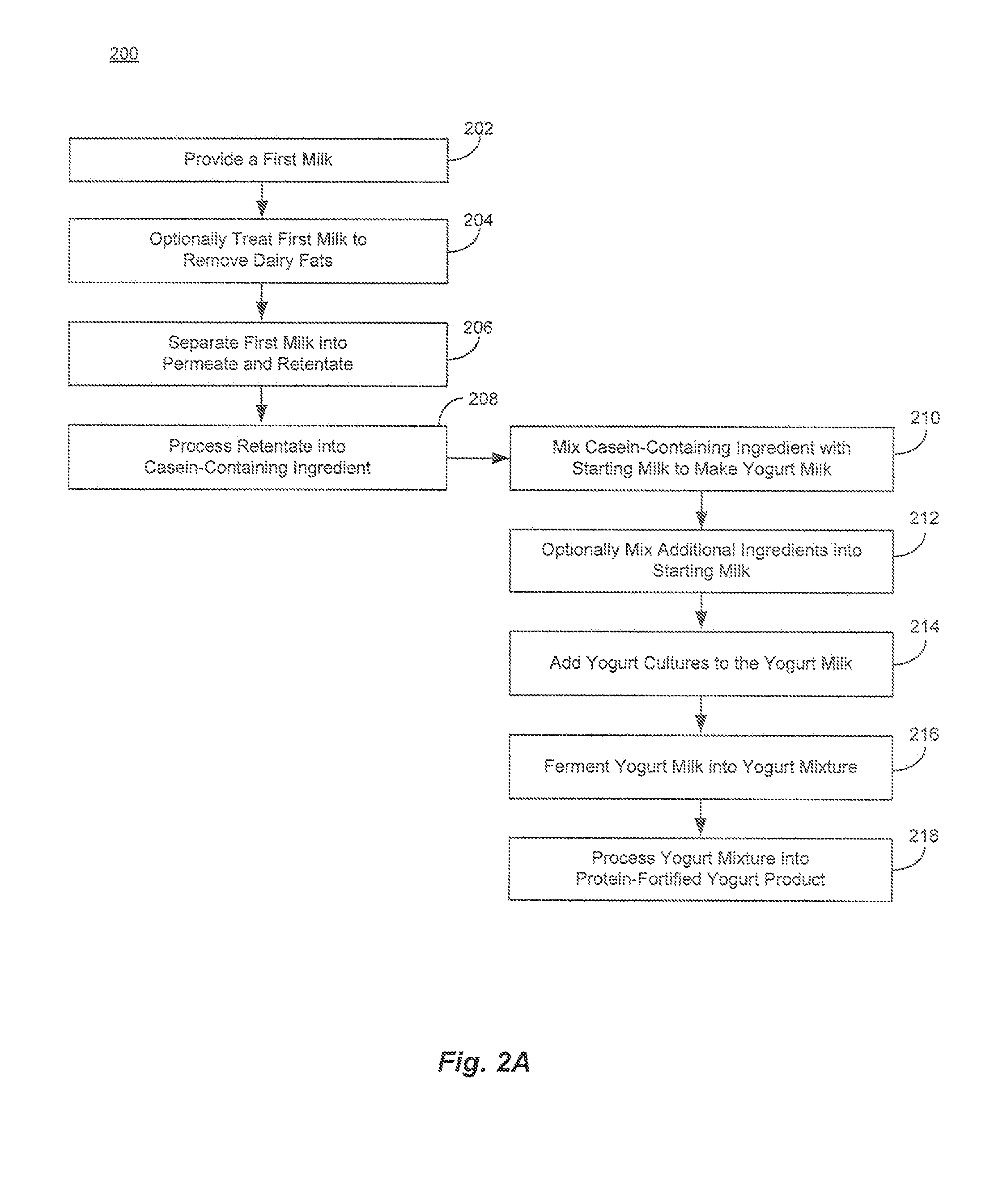 Protein fortified yogurts and methods of making