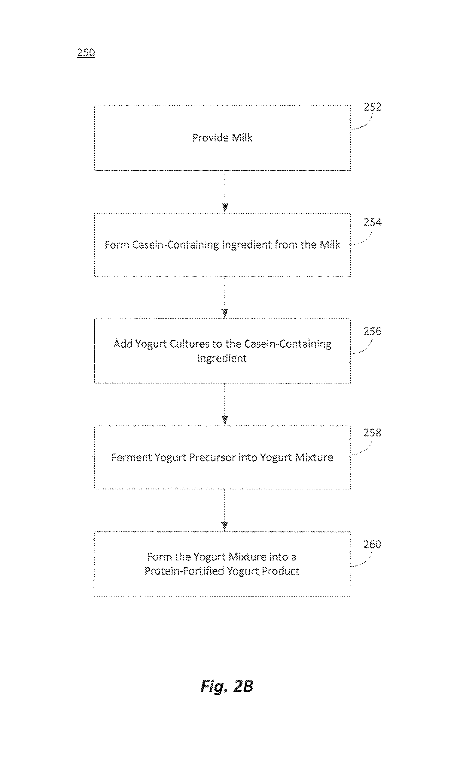 Protein fortified yogurts and methods of making