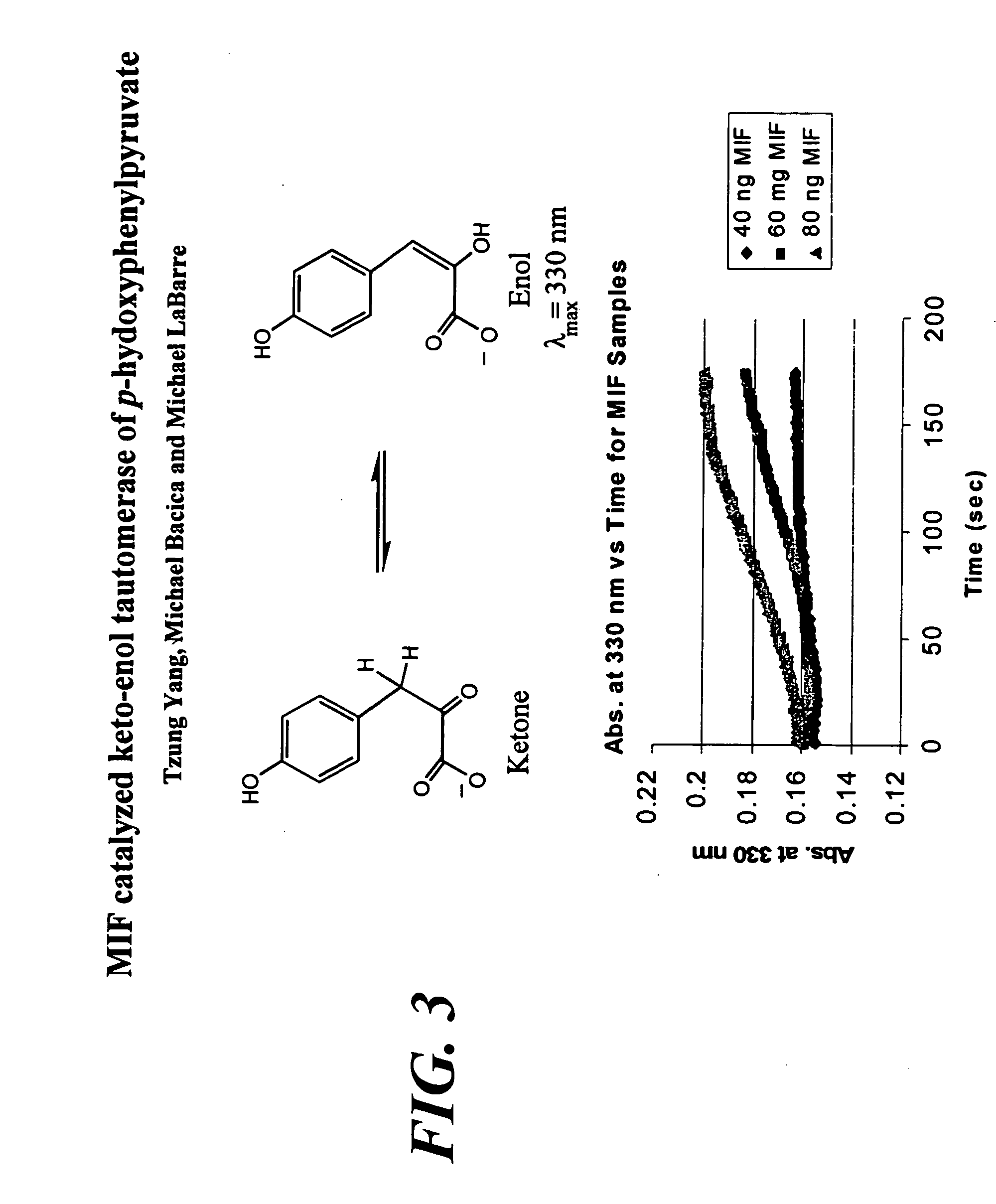 Method for preparing anti-MIF antibodies