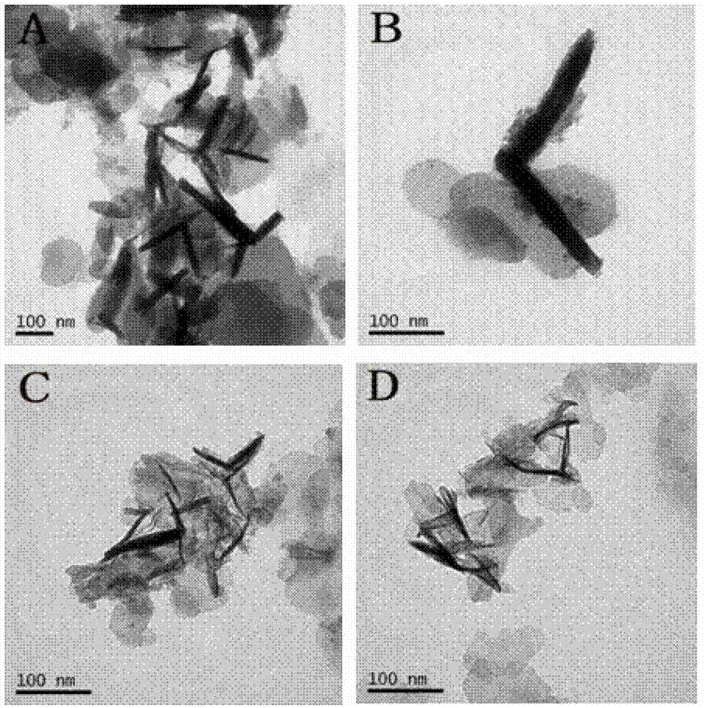 Novel quaternary layered double hydroxide (LDHs), its preparation method and application thereof