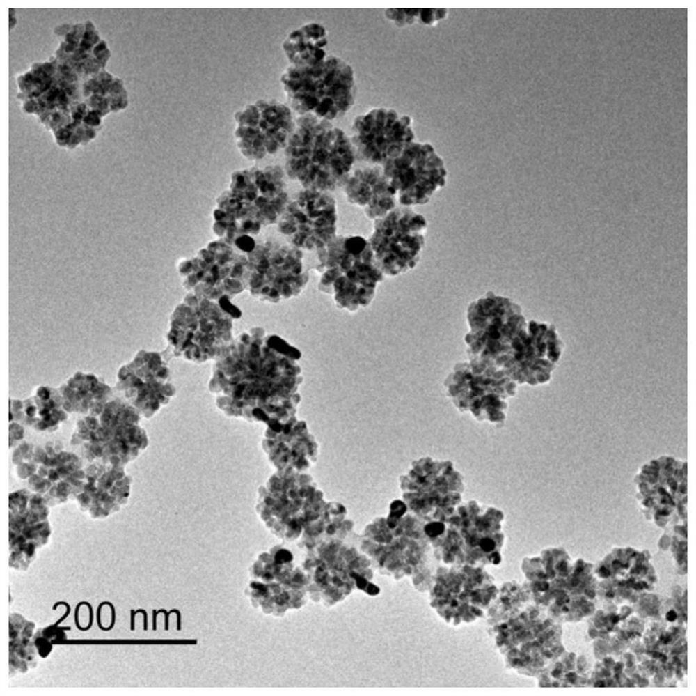 A kind of monodisperse and superparamagnetic gold-magnetic composite microsphere and preparation method thereof