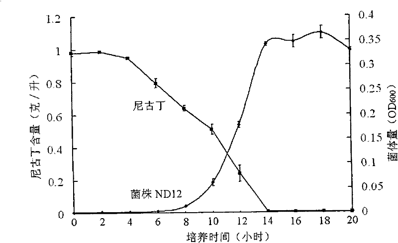 Acinetobacter and application thereof