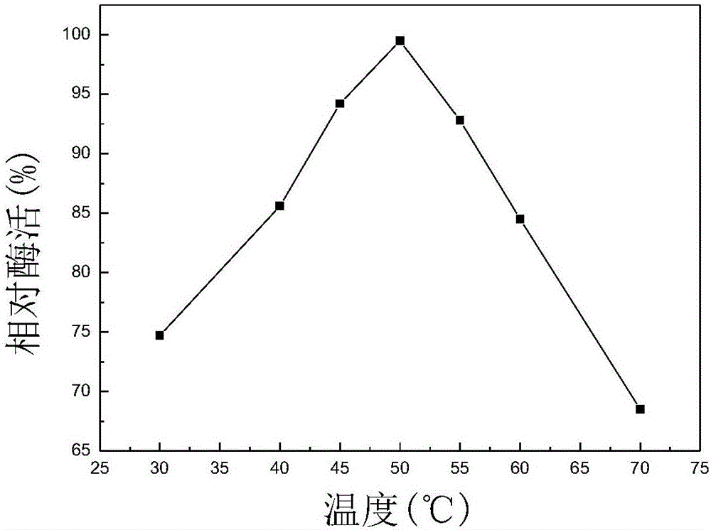 Aspergillus niger strain with high yield of beta-D-fructofuranosidase and liquid-state fermentation and enzyme production method of aspergillus niger strain