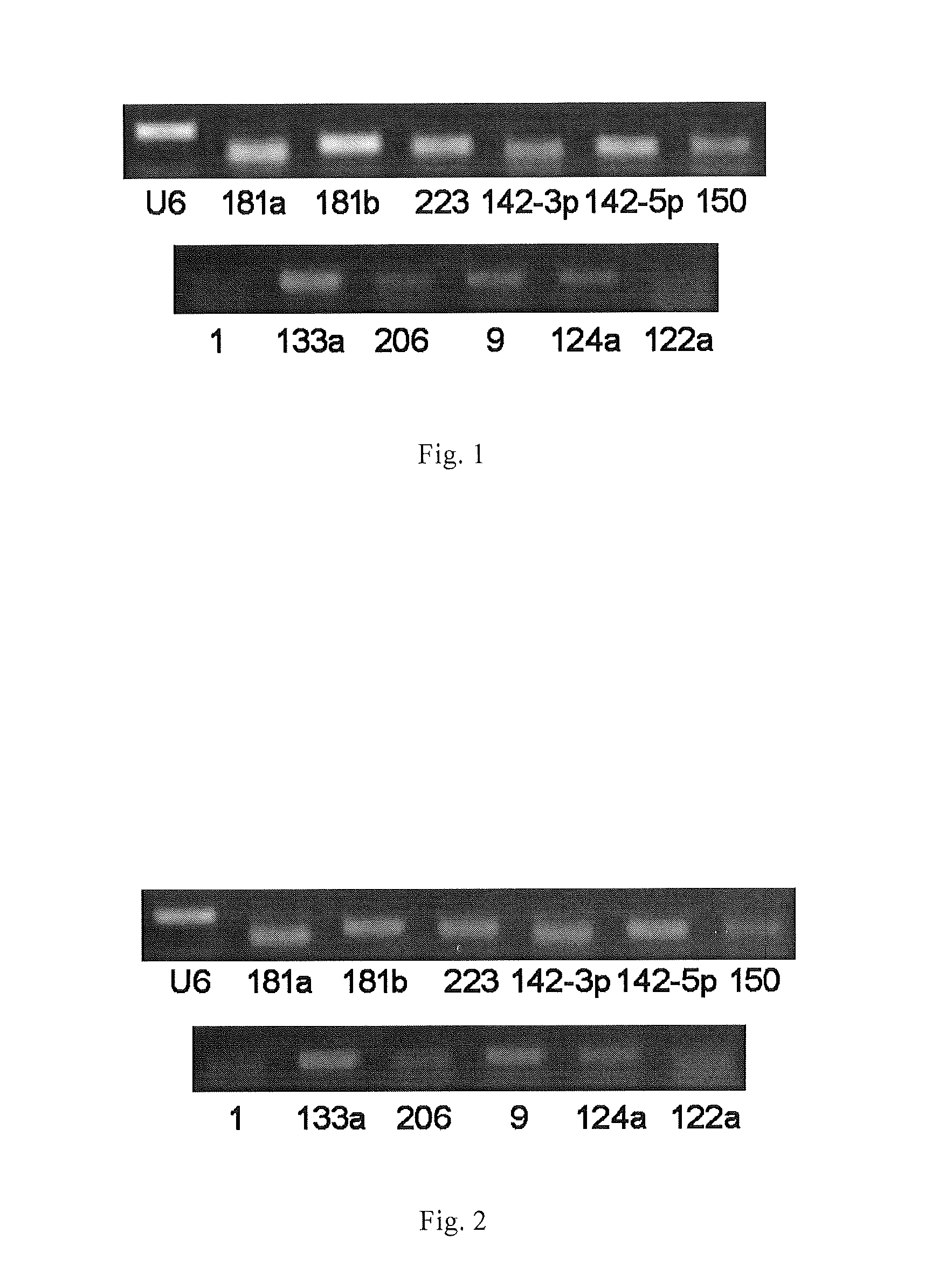 SERUM/PLASMA MicroRNAs AND USES THEREOF