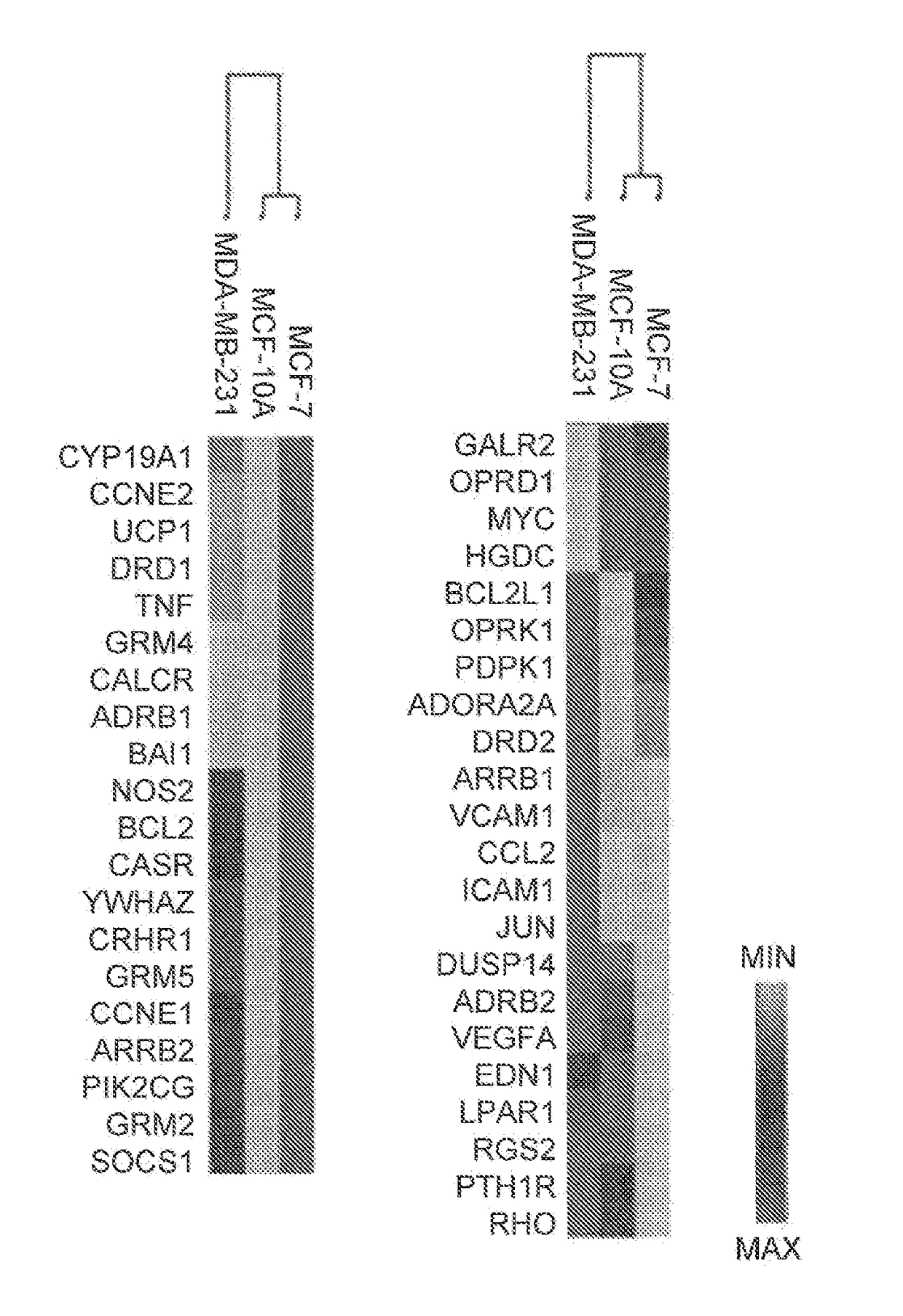 Method for detecting or treating triple negative breast cancer