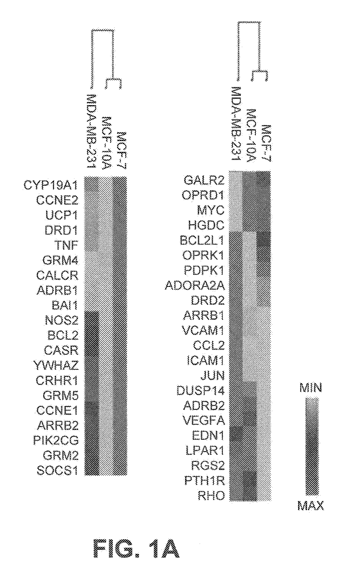 Method for detecting or treating triple negative breast cancer