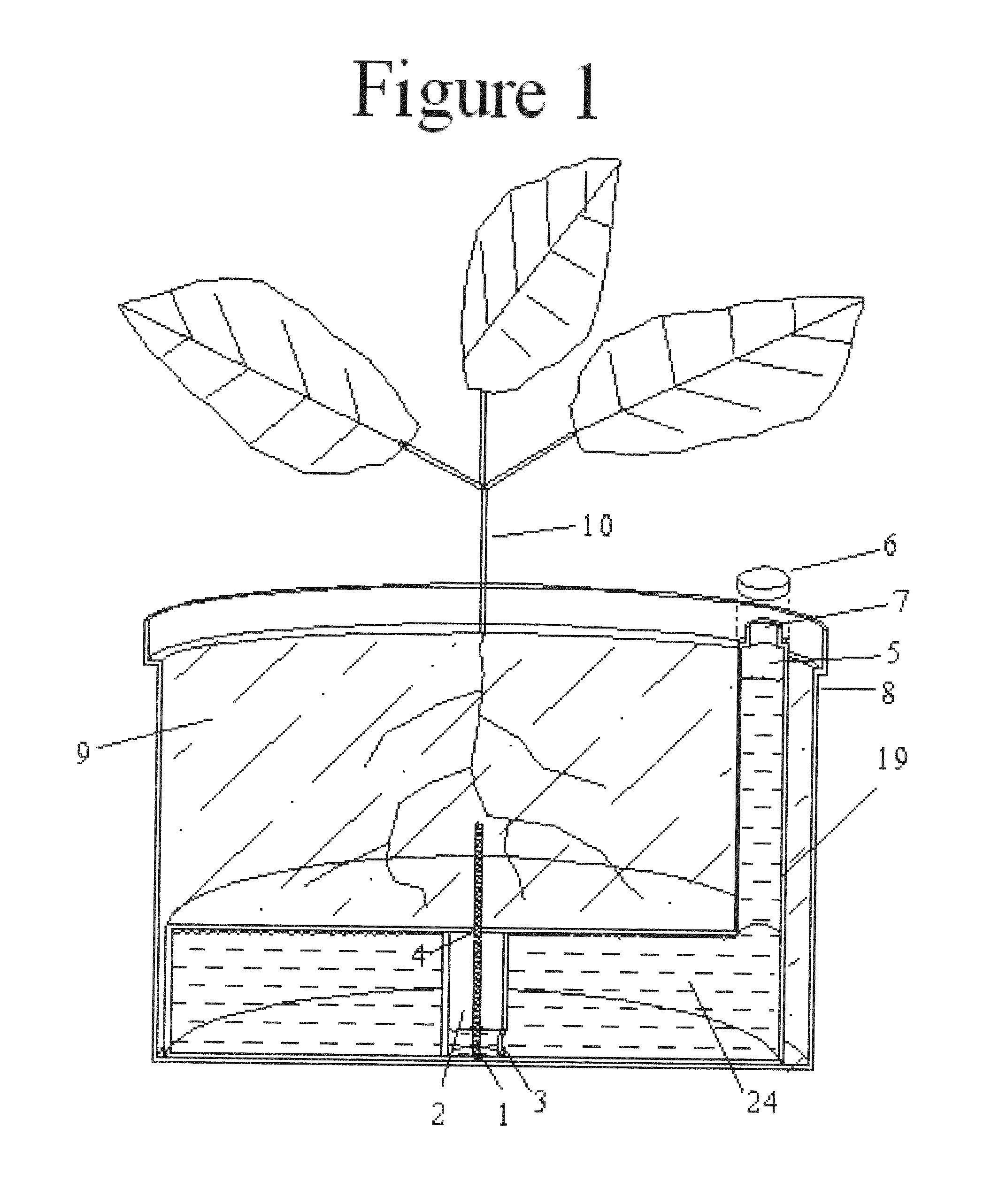 Self watering plant system