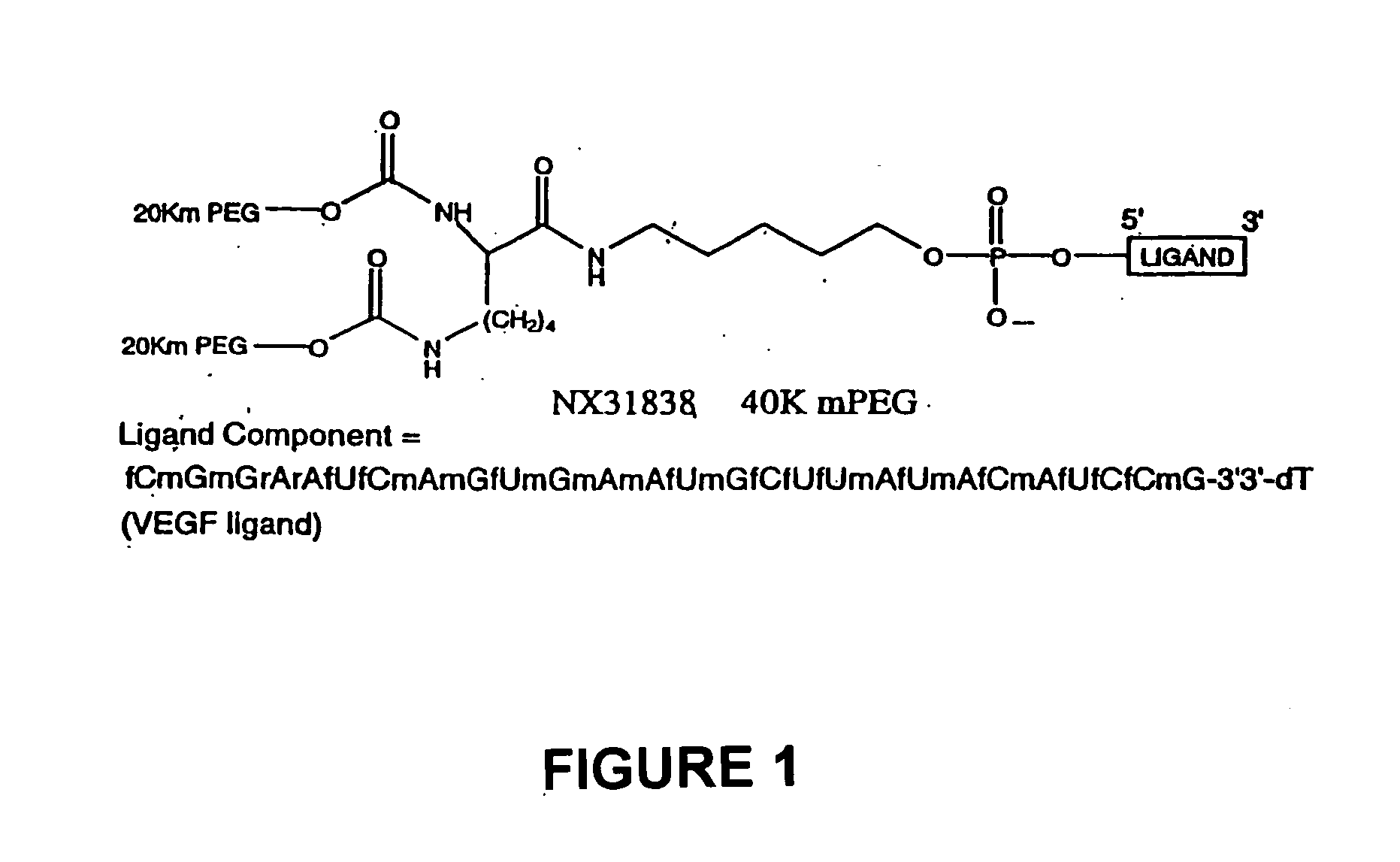 Methods for treating ocular neovascular diseases