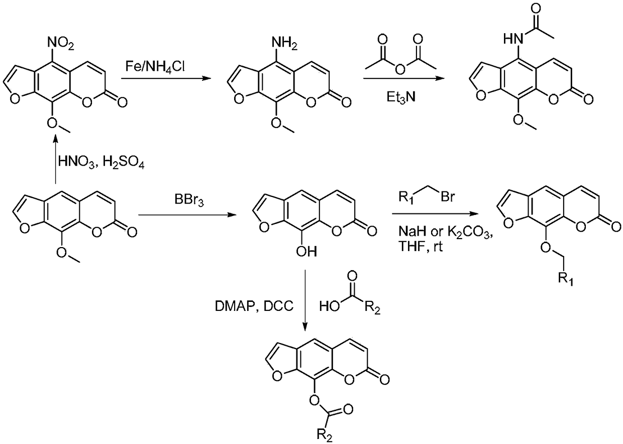 Structural modifier of 8-methoxypsoralen as well as preparation method and application of structural modifier