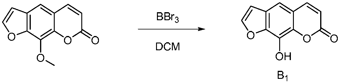 Structural modifier of 8-methoxypsoralen as well as preparation method and application of structural modifier