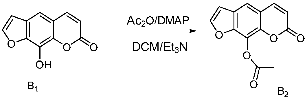 Structural modifier of 8-methoxypsoralen as well as preparation method and application of structural modifier