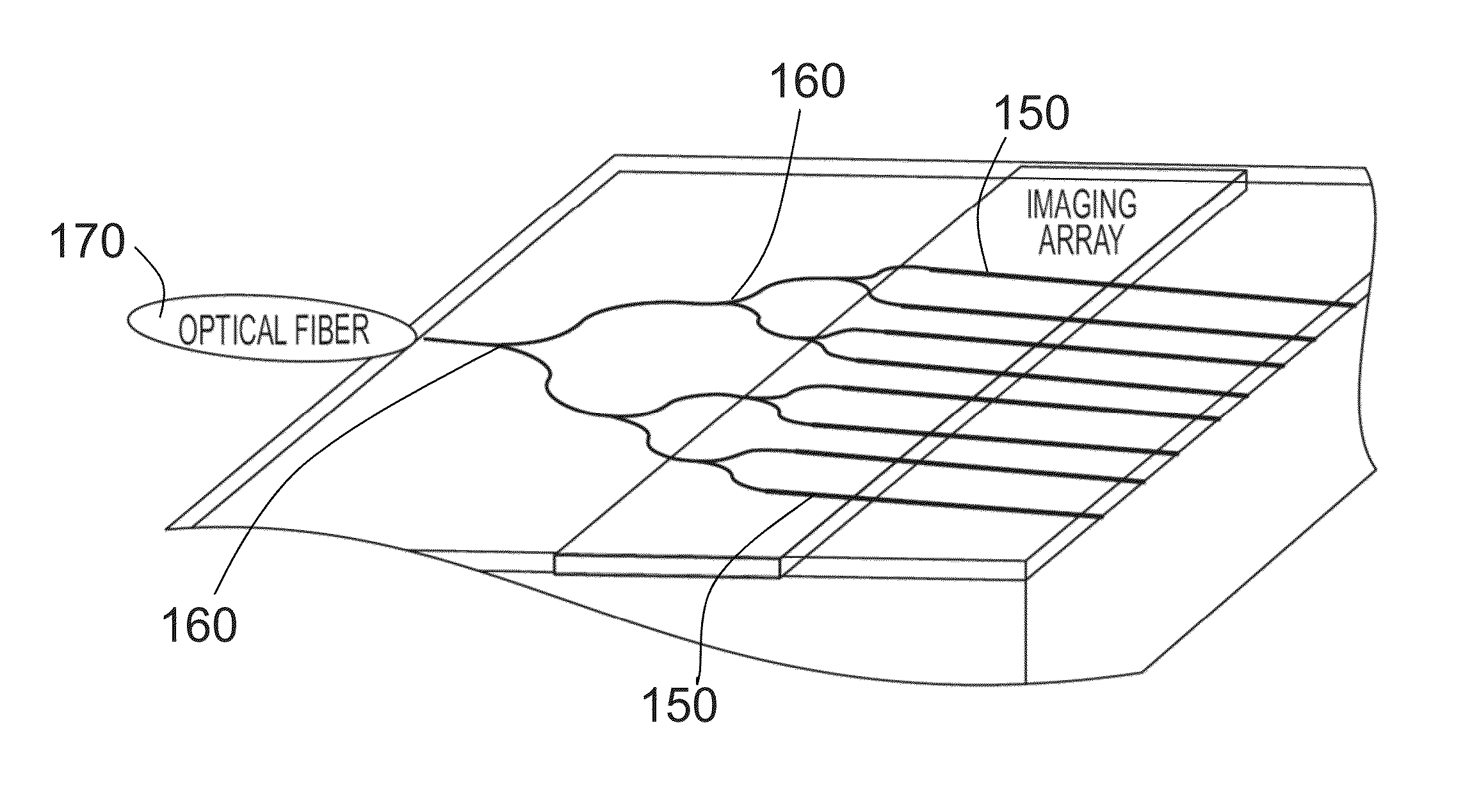 Integrated nanobeam cavity array spectrometer