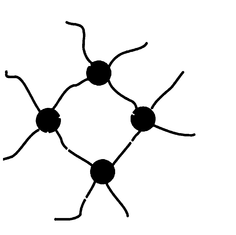 Interpenetrating network structure polymer of silicone rubber-fluorocarbon coating and preparation method thereof