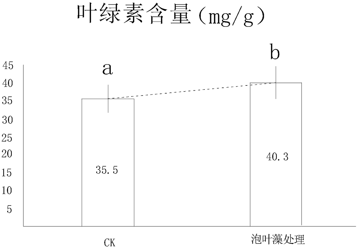 Microbial bacterial manure with ascophyllum nodosum as matrix