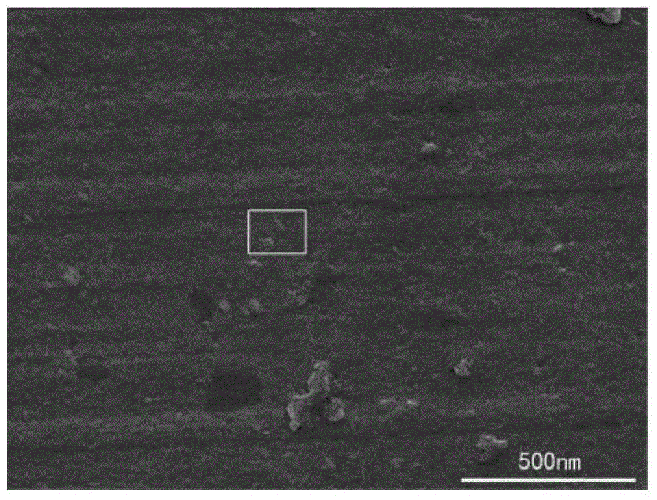 A method for detecting the presence of nanoparticles in organs and tissues