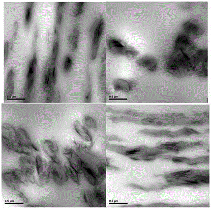 High-barrier nano organic montmorillonite-polyethylene glycol terephthalate composite material and method for preparing same