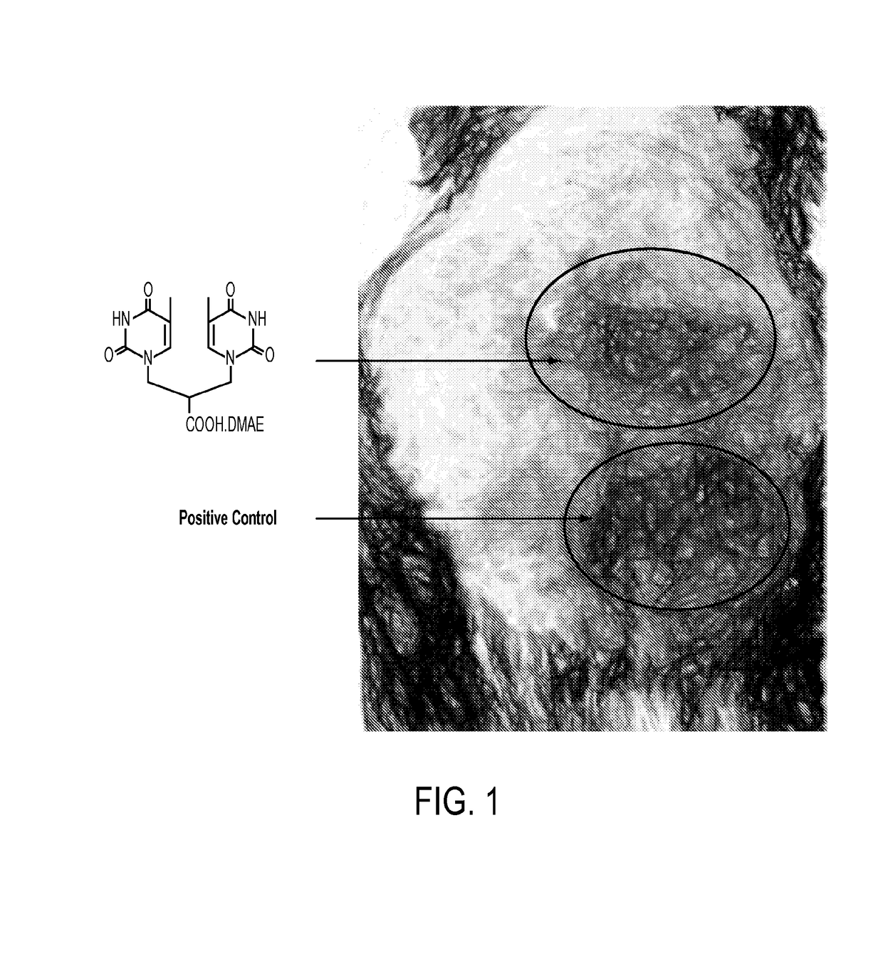 Sunless tanning compounds and compositions