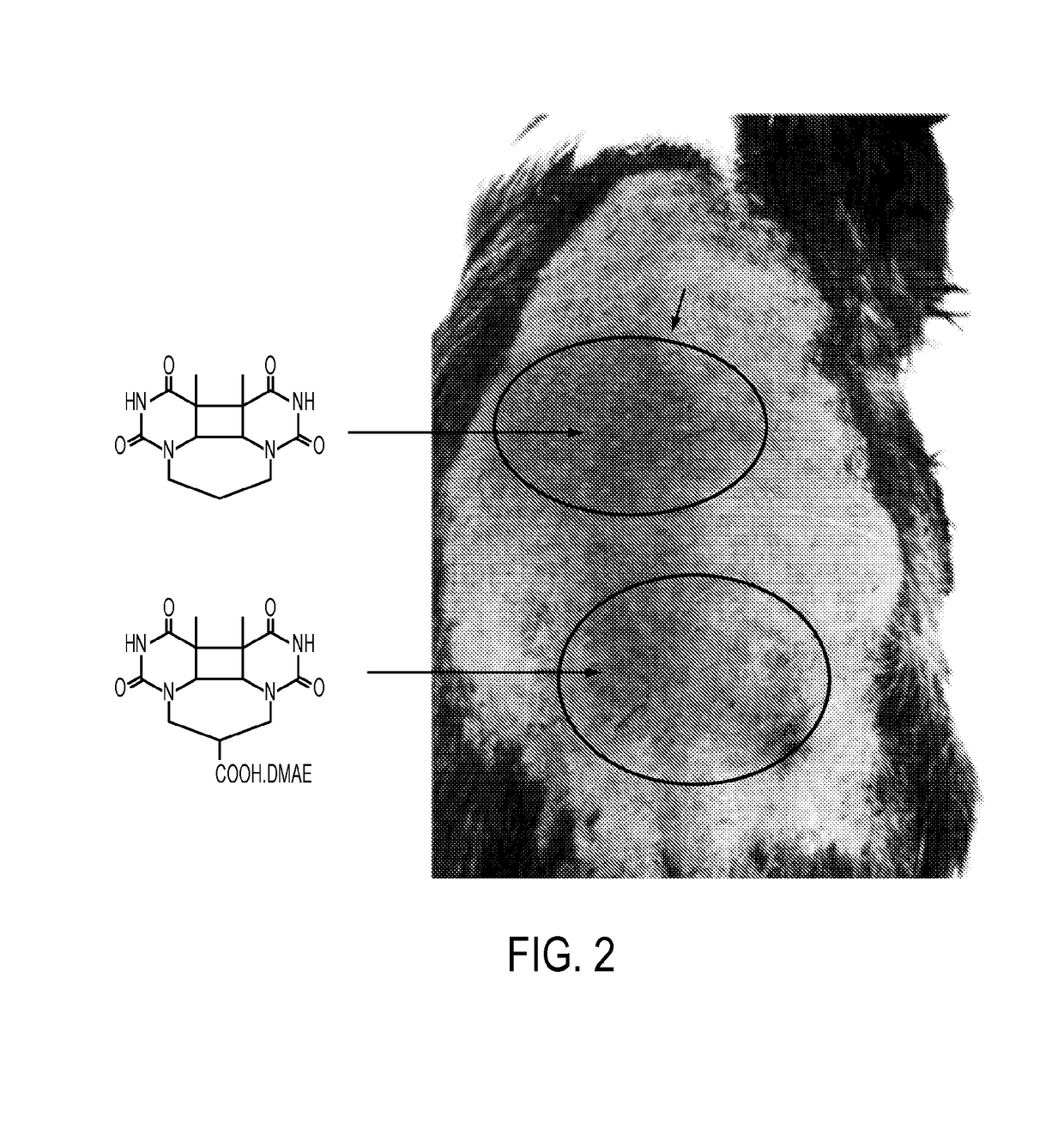 Sunless tanning compounds and compositions