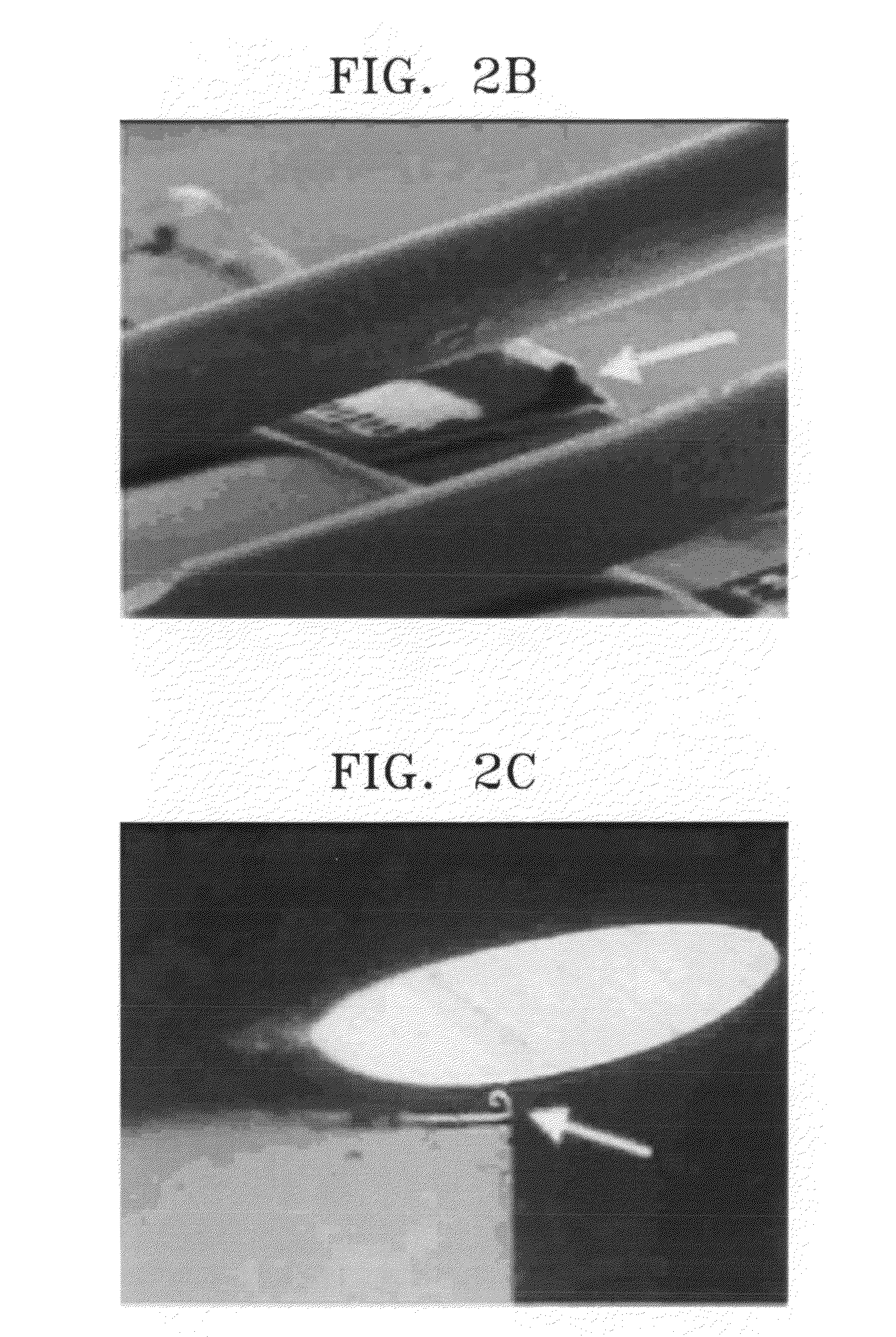 Semiconductor wafers and methods of fabricating semiconductor devices