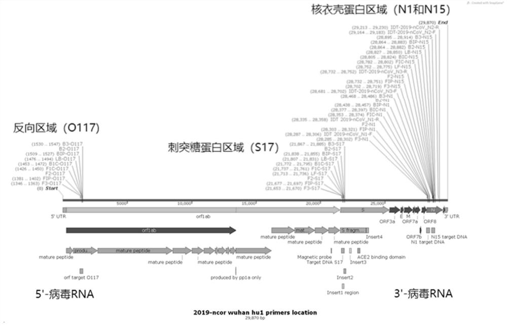 Primers for detecting SARS-CoV-2 novel coronavirus and kit thereof, detection method and applications