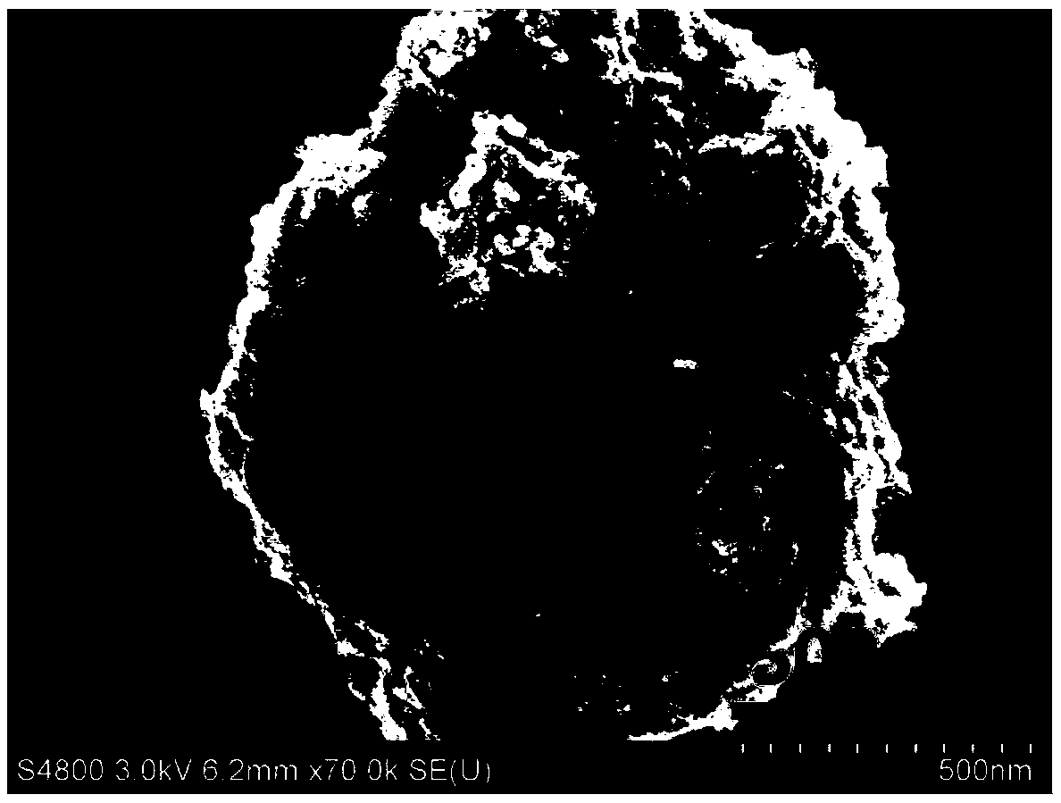 Preparation method for graphene-coated titanium dioxide nanotube