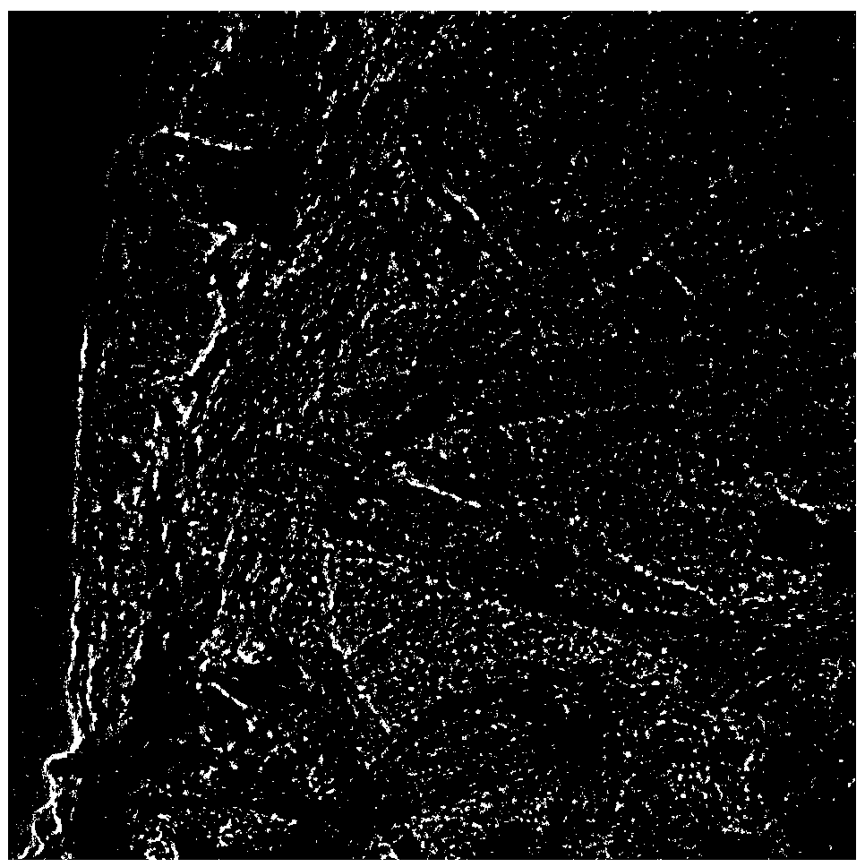 Preparation method for graphene-coated titanium dioxide nanotube